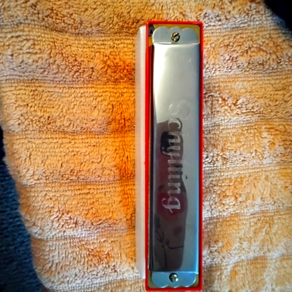 New Schylling Harmonica